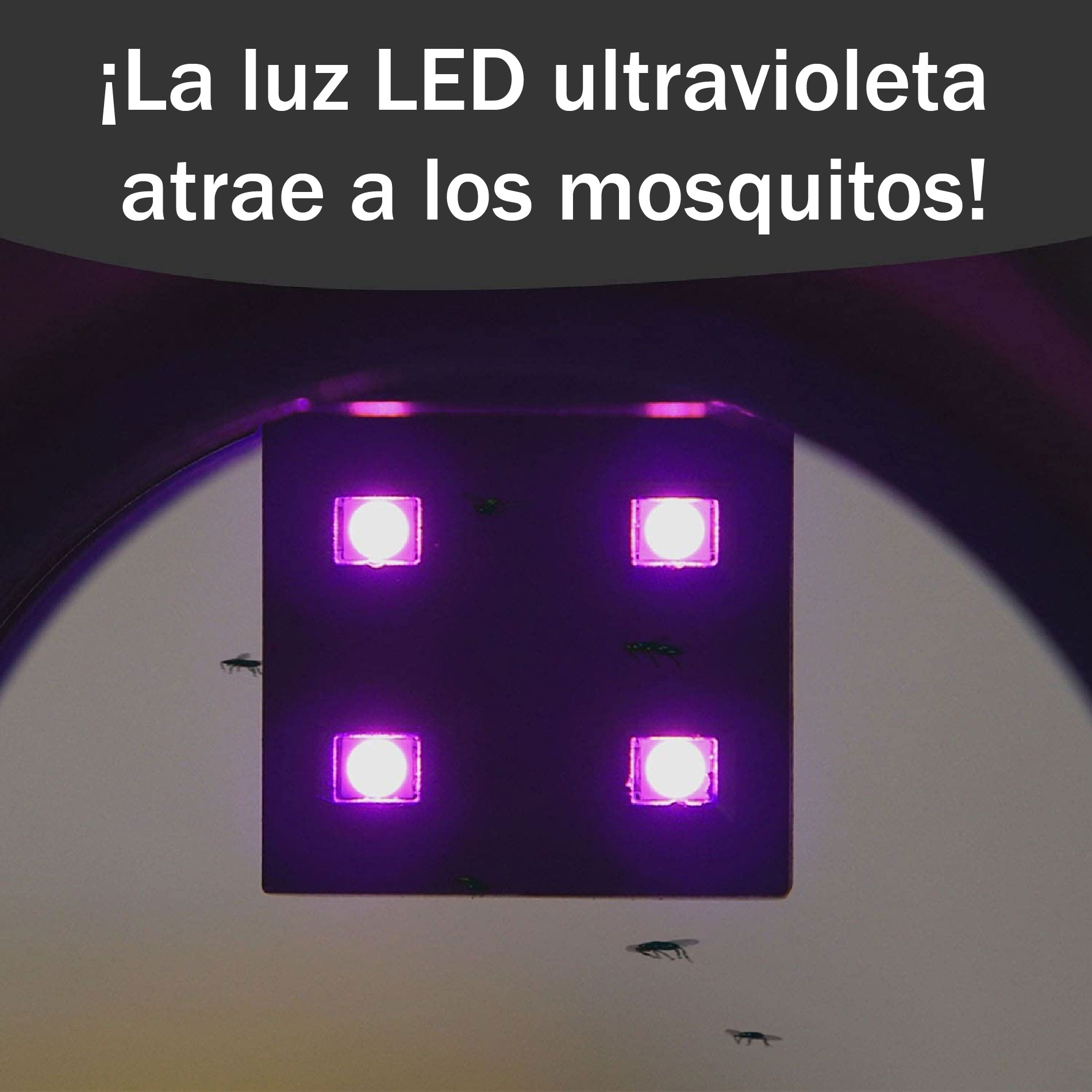 Miniatura 3 de Lampara Mata Zancudos Mosquitos Luz UV